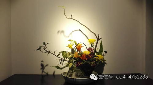 花姓的来龙去脉