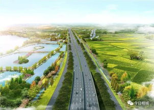 绿化覆盖率提升的背后