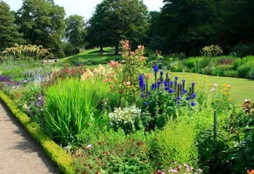 北方景观常用植物配置：如何打造花境植物蕞佳观赏效果？