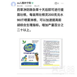 壮果灵：果树生长的好帮手