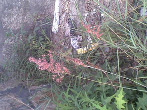 三招急救法， 你值得拥有