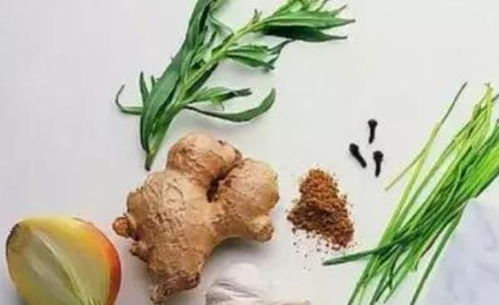 生姜：播种时机hen重要