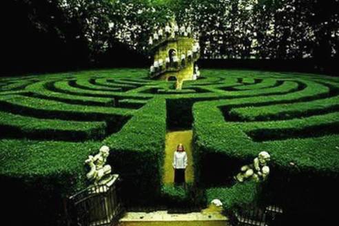 河南侧柏苗木报价