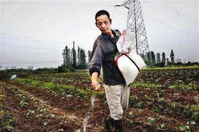 播种后如何施肥才能促进种子发芽