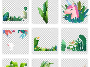 热带花卉的保护