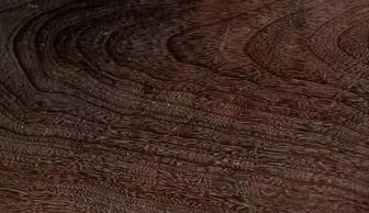 香樟木：香气四溢的珍稀木材