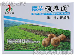 除草剂怎么用，才Neng不伤魔芋？