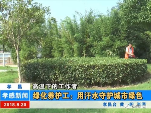 3. 设施维护：确保平安与活力