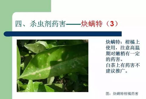 过期农药的处罚力度