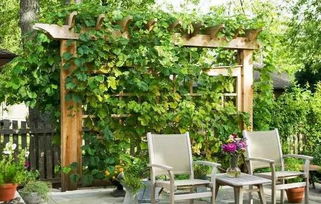 庭院绿化的魅力所在