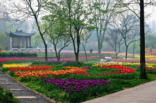 种草前先“把个脉”