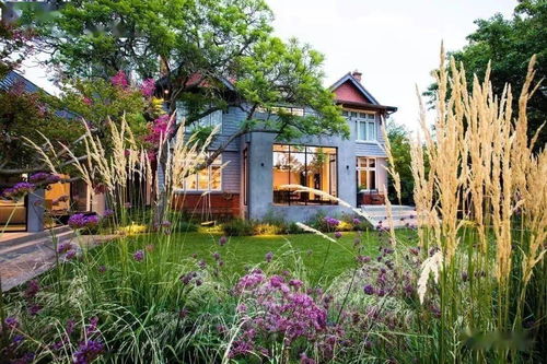 4. 形态组合多样