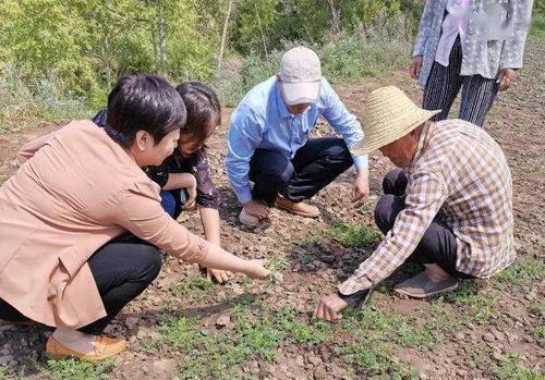 专利技术， 助力种植