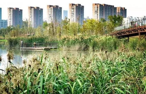 设计原则要牢记， 生态和谐第一条