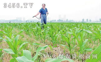 先放水再加药， 保护措施不可少