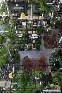 第五步：动手Zuo，建设起来