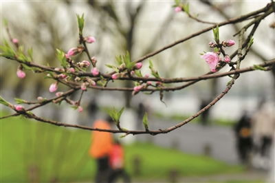 三类阴雨杀手名单