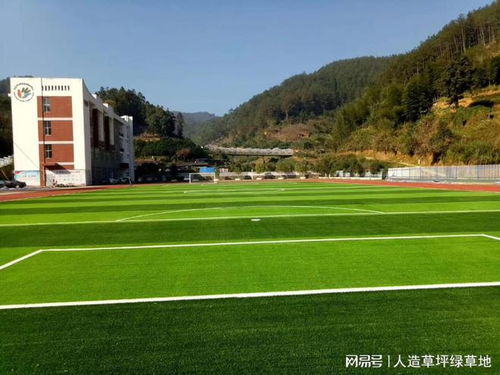 草坪高度，你真的了解吗呃？