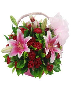 不同花卉， 不同寓意