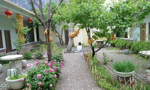 西安：水果与蔬菜的天地