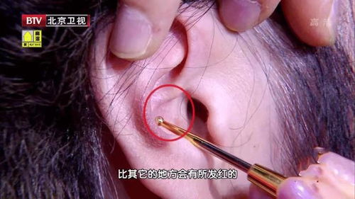 秋季蓝耳圆环病毒爆发原因及治疗方案揭秘