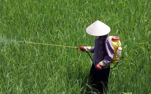 科学使用，保护生态平衡