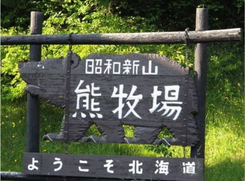 设计中的情感色彩