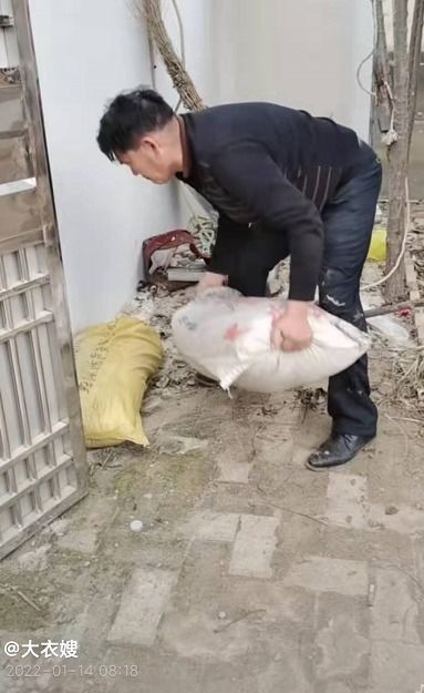 为什么最近猪价这么高，菜场大妈和养殖户吵得不可开交？