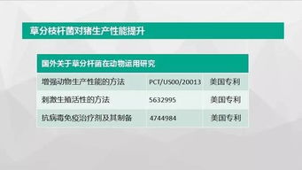 母猪攻击行为如何有效预防？如何识别早期预警信号
