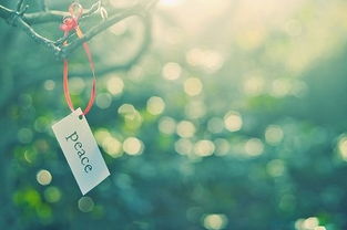 “彼岸花语：隐秘的爱，不言而喻”