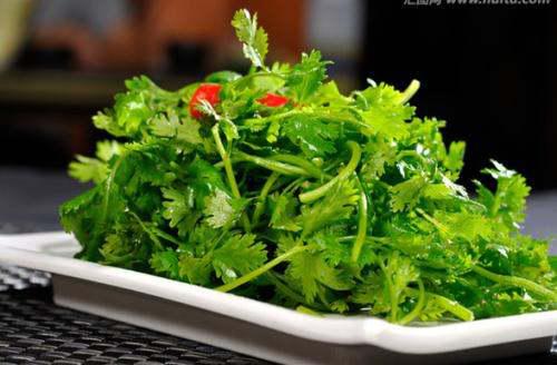 种香菜时如何正确撒种