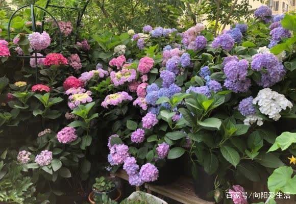 精准控温， 关键时期要低温刺激