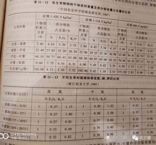 棉花需肥规律：氮、磷、钾需求量随生育期增加
