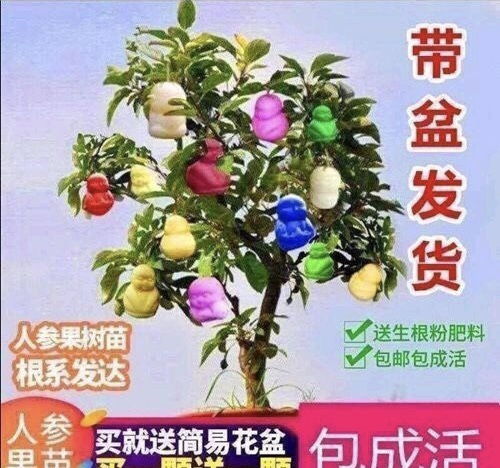 价格高了自然就会有人鱼目混珠，于是在以前并没有的青花造假也出现了。