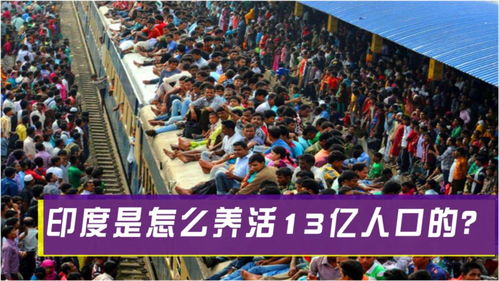 揭秘印度人如何用创新养殖法养活13亿人口