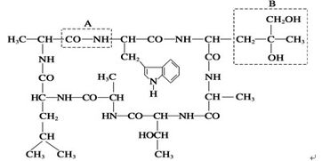 环己烷，有毒还是无害？