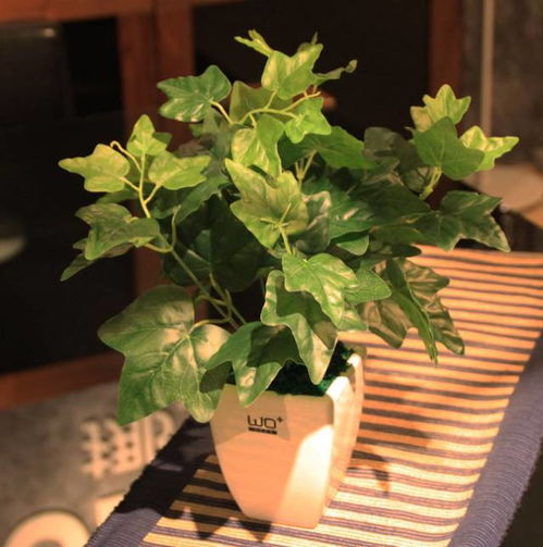 二、是不是积水导致呢？