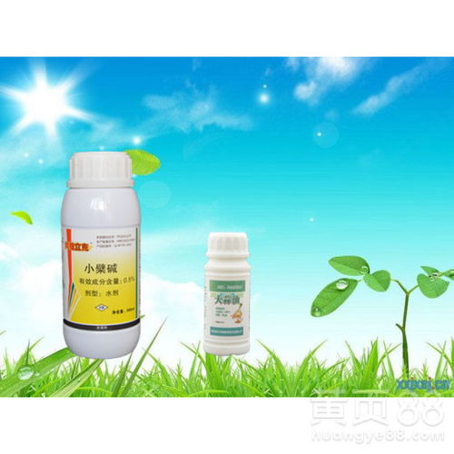 三环唑，你真的Neng行吗？