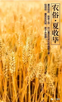 寻访地黄之最，你知道我国哪个地黄产地最出瑰宝吗