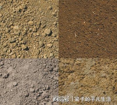 养花泥土如何变肥土？