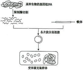 可能的原因分析