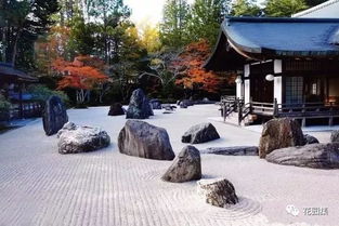 景观设施有哪些特点？