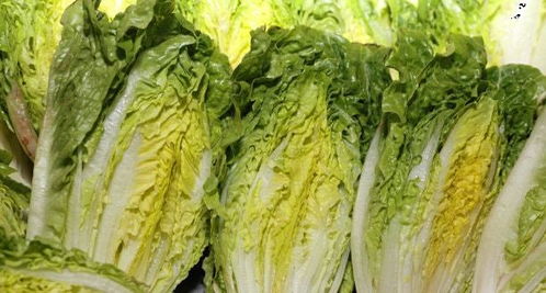 营养价值：这些类似白菜的蔬菜值不值得尝试