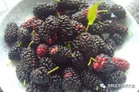 玫瑰花洛神花桑葚泡水，养生功效真的那么神奇吗