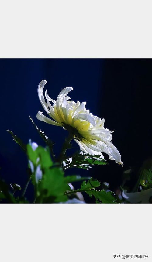 1. 选对光线，打造好画面