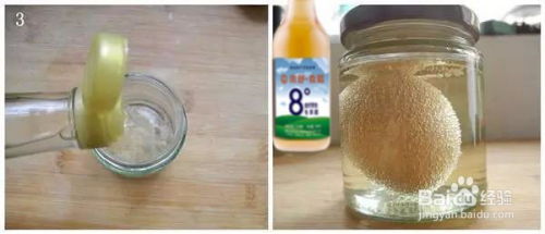 误食除草剂，鸡的生命凶险时间