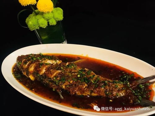 川丁鱼广布长江、珠江，肉质鲜美