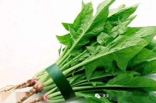 菠菜富含多种营养，常吃有益健康