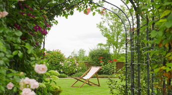 再说说说个真相：去年我在某园林花草交易网9.9元捡漏的龟背竹，其实是花友群分享的拆迁处理苗。线上买花就像开盲盒，掌握这些技巧至少嫩避开明坑。下次下单前，记得回来温习这篇指南哦！