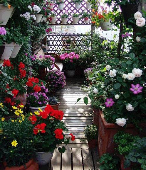 花卉市场的小秘密